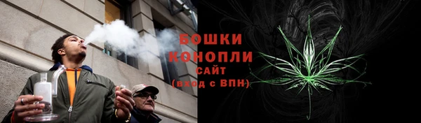 амф Северо-Курильск