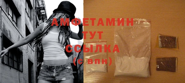 крисы Няндома