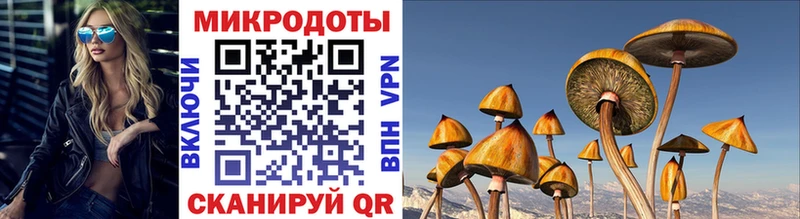 Псилоцибиновые грибы Magic Shrooms hydra рабочий сайт Яровое